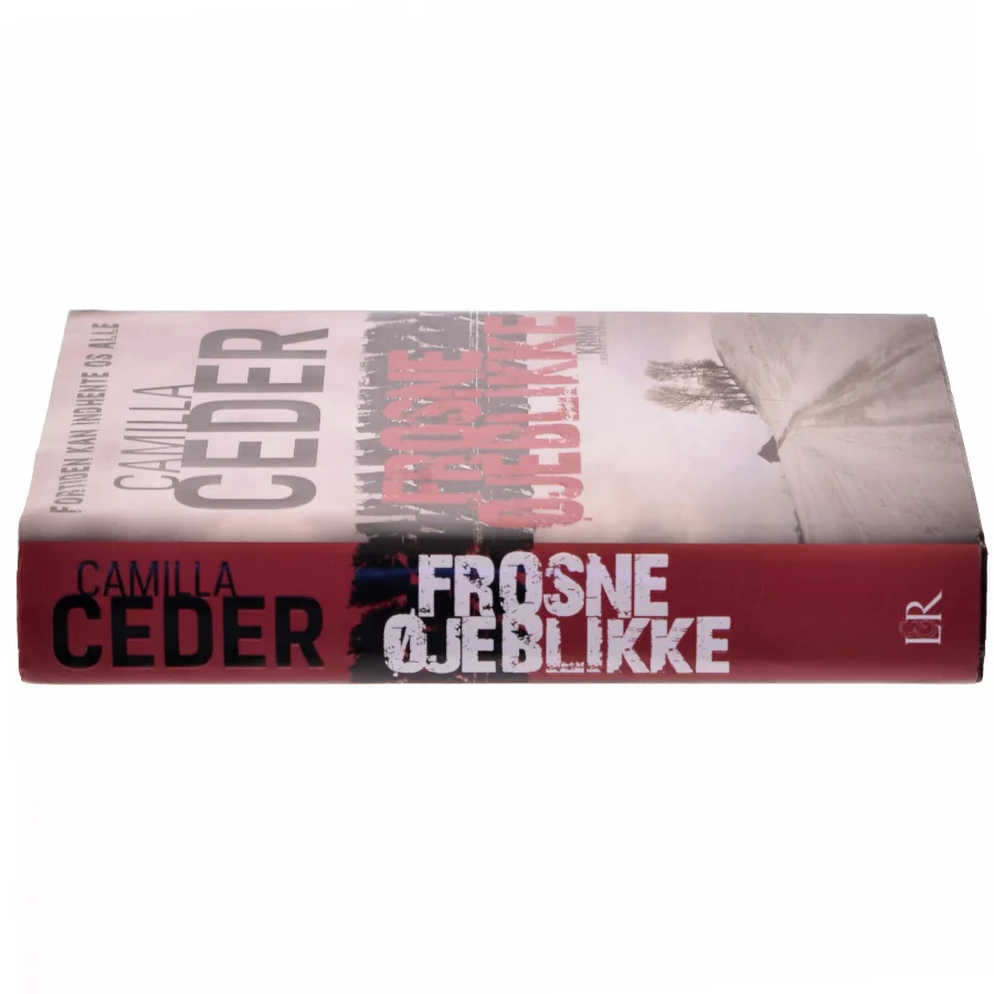 Frosne øjeblikke af Camilla Ceder (Bog)