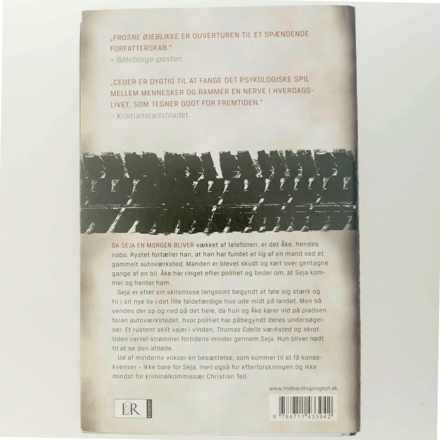 Frosne øjeblikke af Camilla Ceder (Bog)