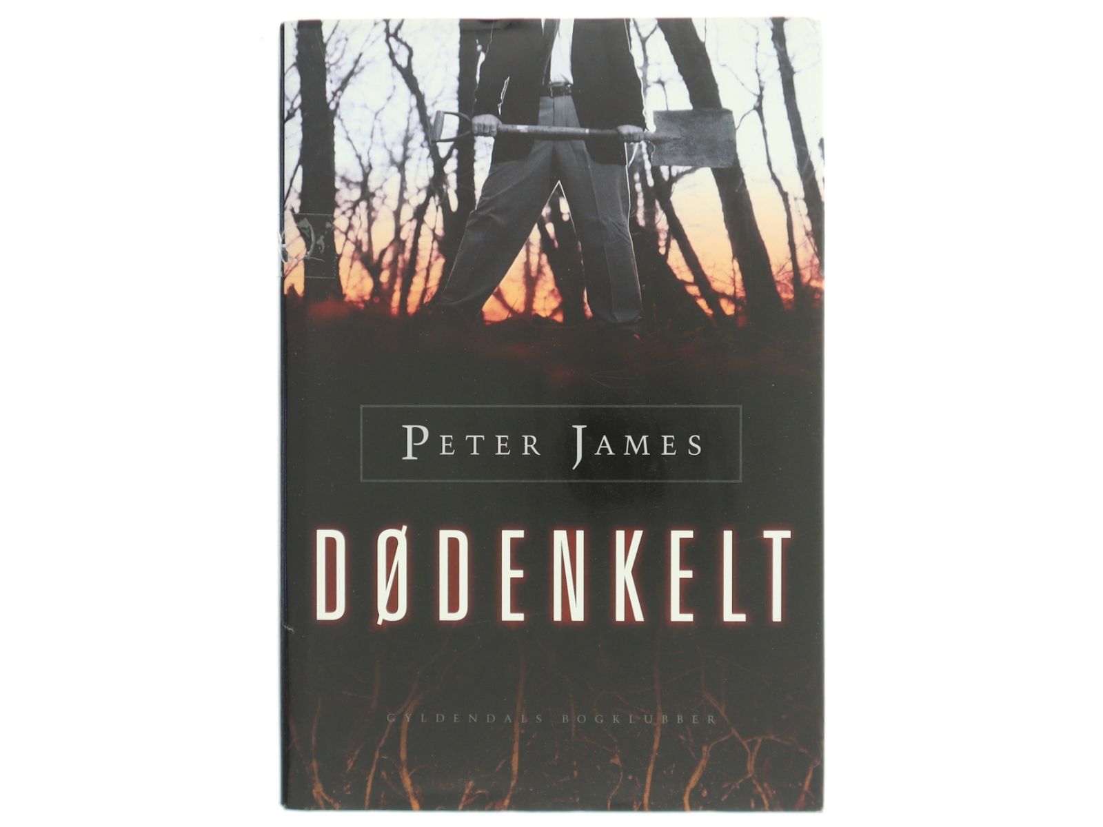 Dødenkelt af Peter James (f. 1948) (Bog)