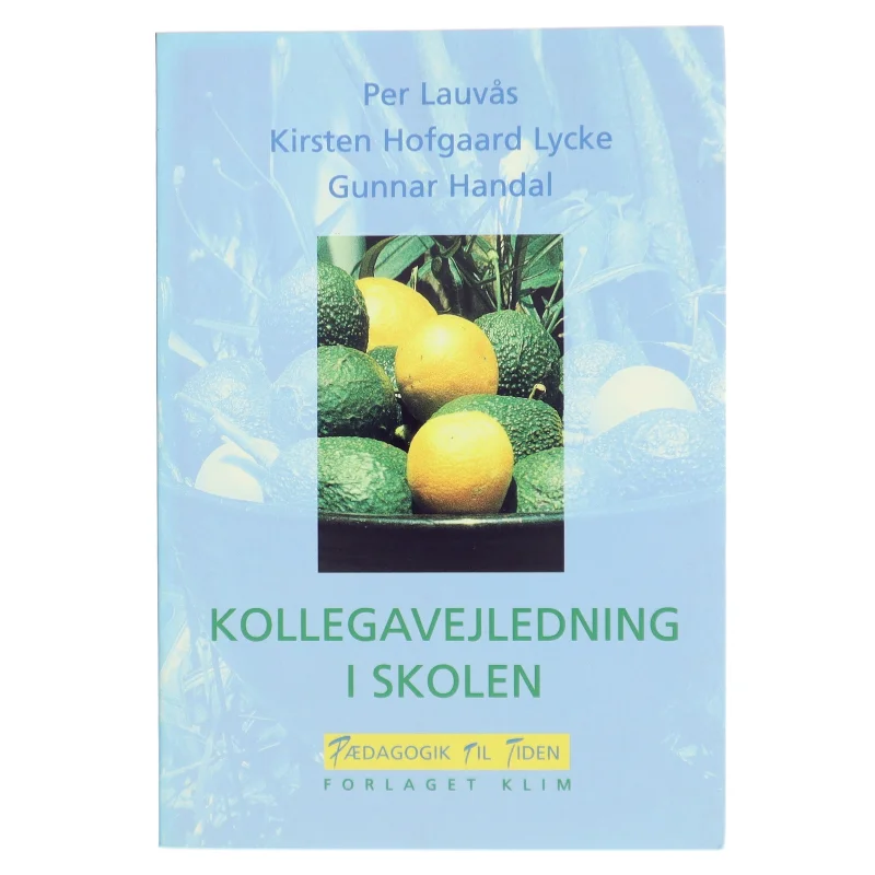 Kollegavejledning i skolen bog fra Forlaget Klim