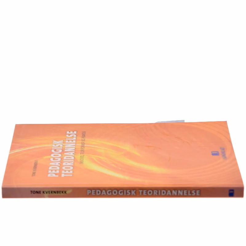 Pedagogisk teoridannelse : insidere, teoriformer og praksis af Tone Kvernbekk (Bog)