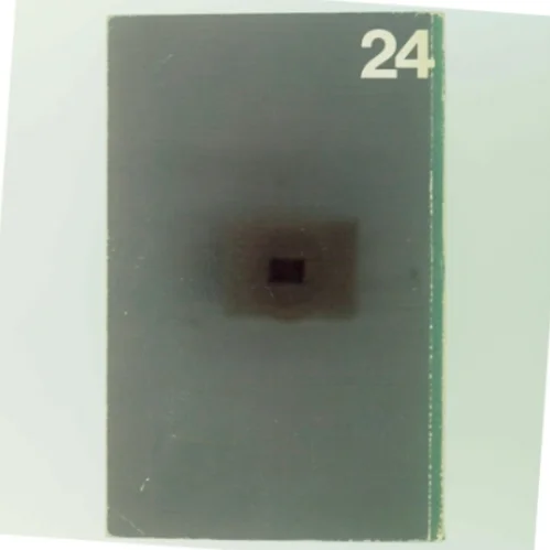 Musikkens psykologi og sociologi