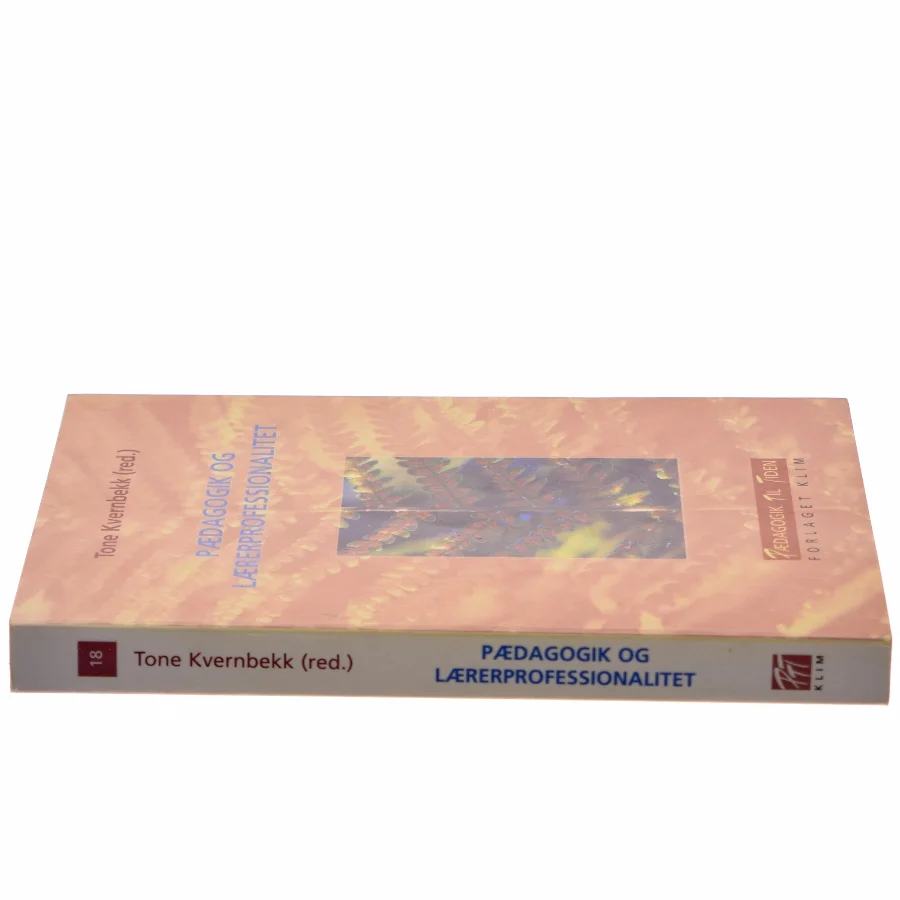 Pædagogik og lærerprofessionalitet bog fra Forlaget Klim