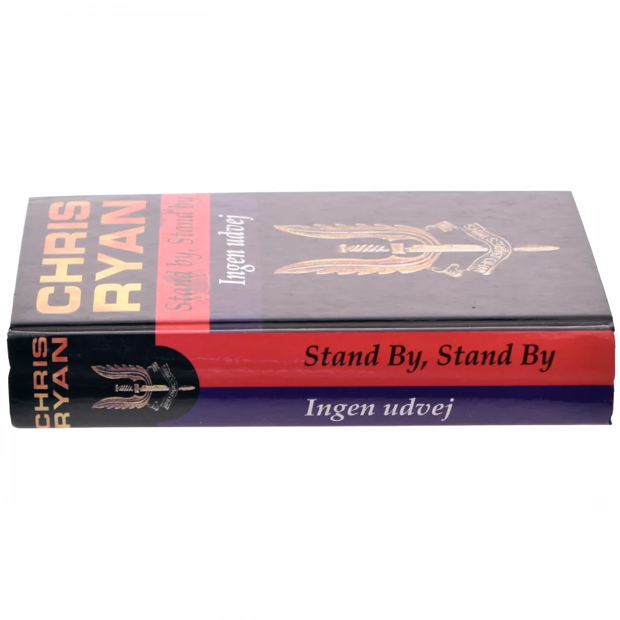 Stand by, stand by : Ingen udvej af Chris Ryan (f. 1961) (Bog)
