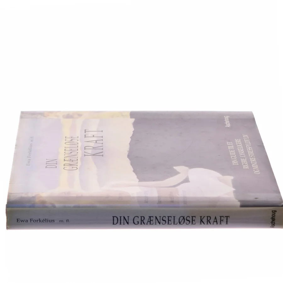 Din grænseløse kraft af Ewa Forkélius (Bog)