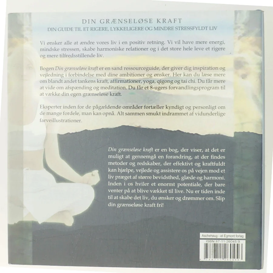 Din grænseløse kraft af Ewa Forkélius (Bog)
