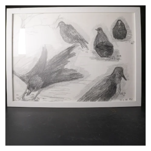 Indrammet tegning af fugle fra IKEA (str. 43x33,5 cm)