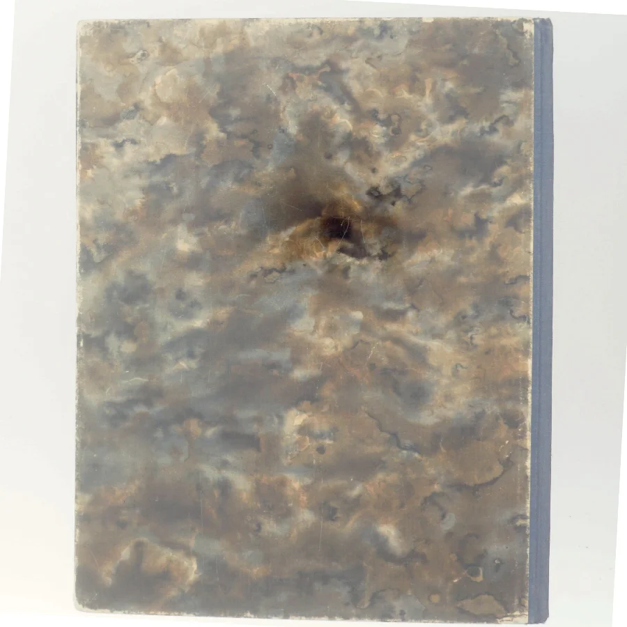 Lad bibelen fortælle