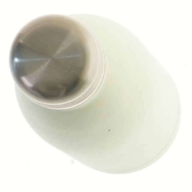 Termoflaske i rustfrit stål (str. 26 cm)