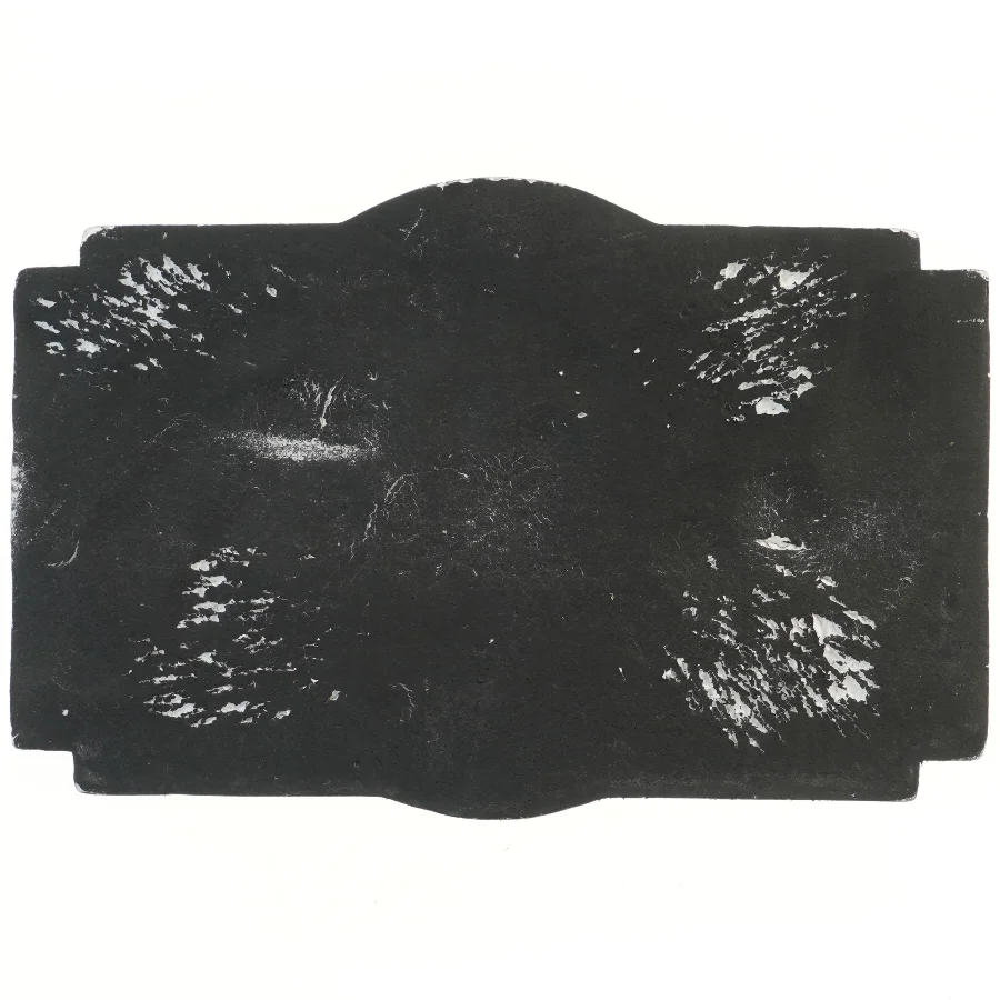 Vintage Asylum-skilt (str. 56x37 cm)