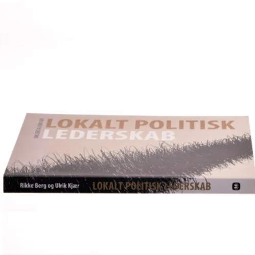 Lokalt politisk lederskab (Bog)