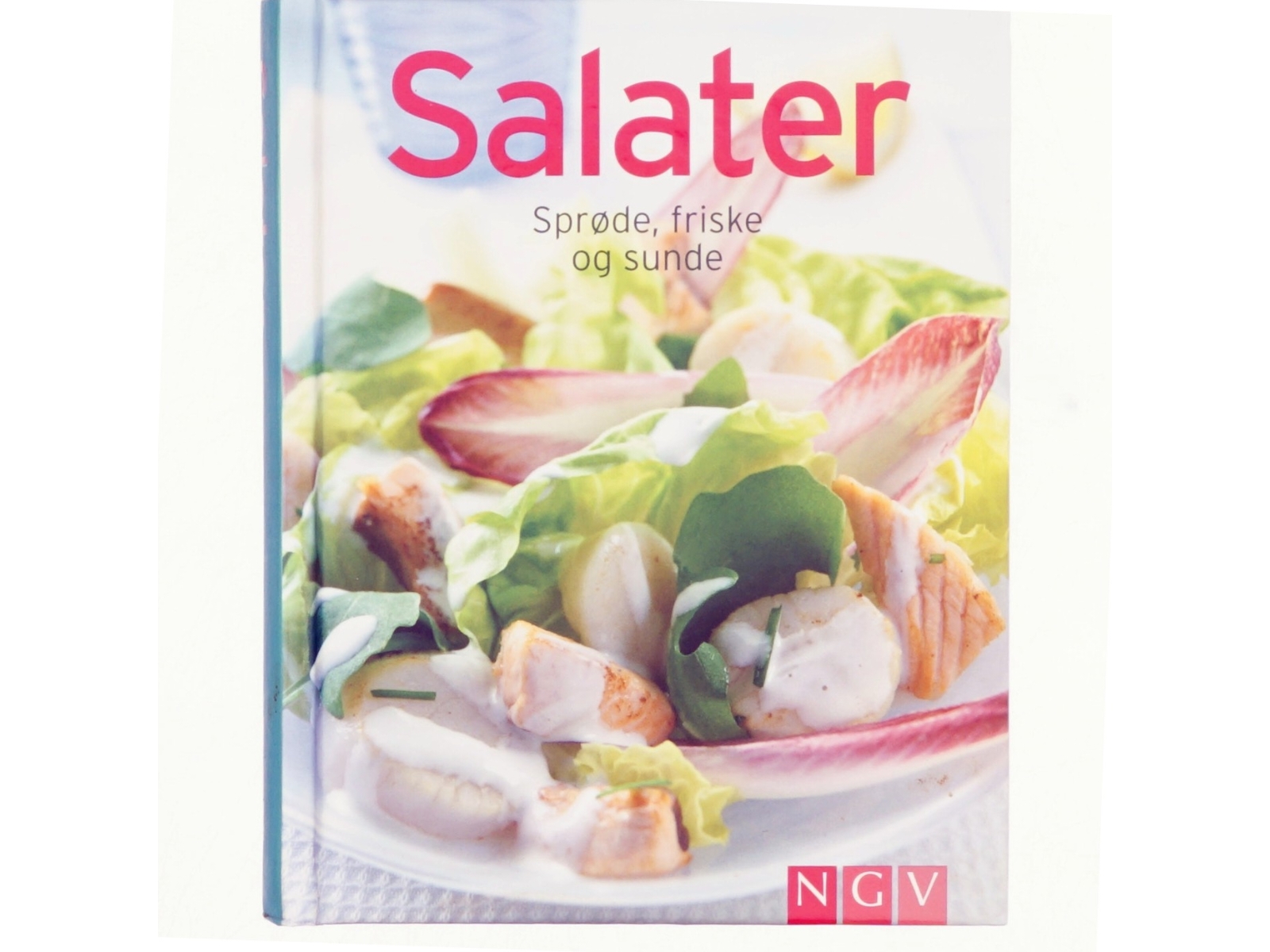 Salater (Bog)