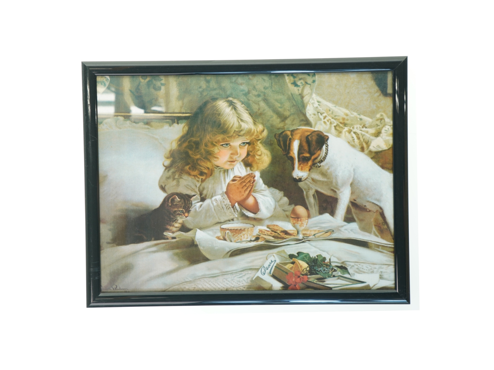 Indrammet billede (str. 43 x 33 cm)