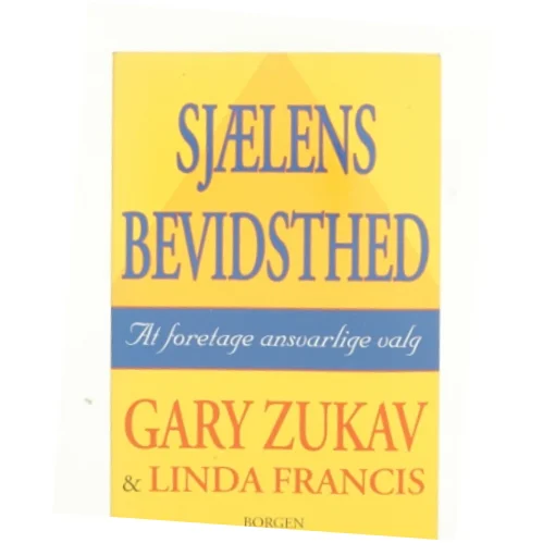 Sjælens bevidsthed : at foretage ansvarlige valg (Bog)