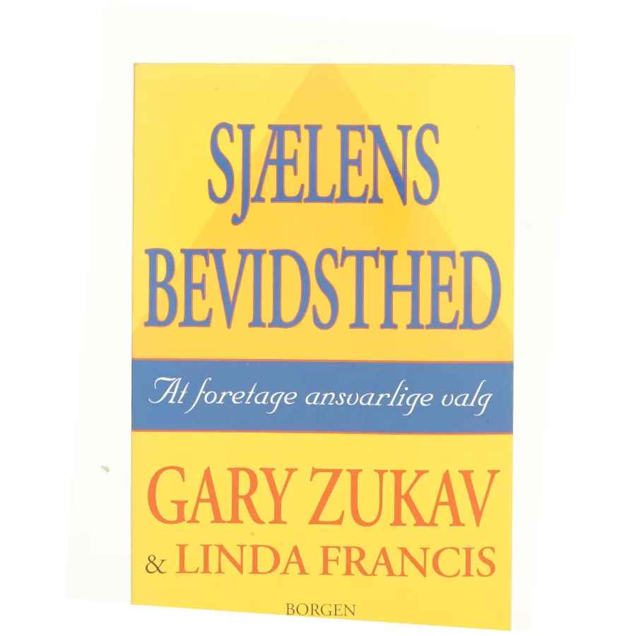Sjælens bevidsthed : at foretage ansvarlige valg (Bog)