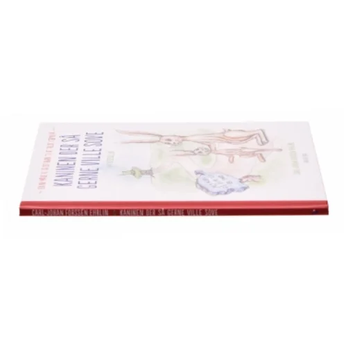 Kaninen der så gerne ville sove af Carl-Johan Forssén Ehrlin (Bog)