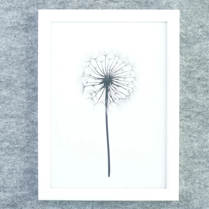 Billedramme fra Kjærulff (str. 33 x 24 cm med ramme kant)