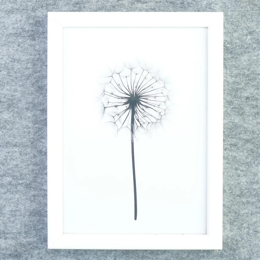 Billedramme fra Kjærulff (str. 33 x 24 cm med ramme kant)