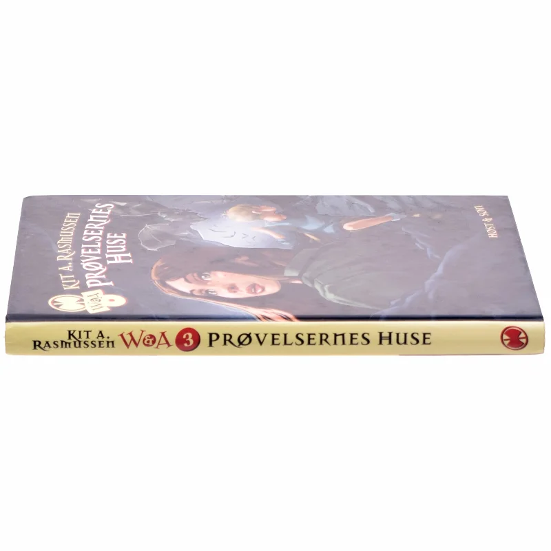 Gravens forbandelse af Kit Rasmussen (Bog)