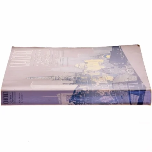 Chicago: City of Neighborhoods – Historie & ture bog fra Loyola University Press