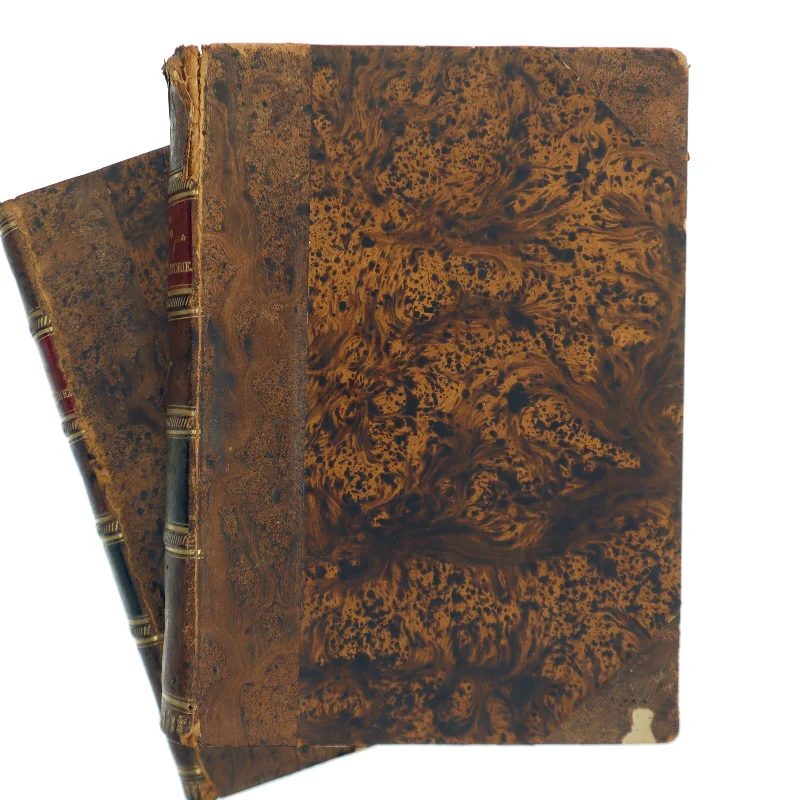 Dansk litterarturhistorie