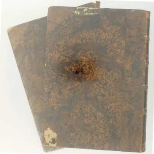 Dansk litterarturhistorie