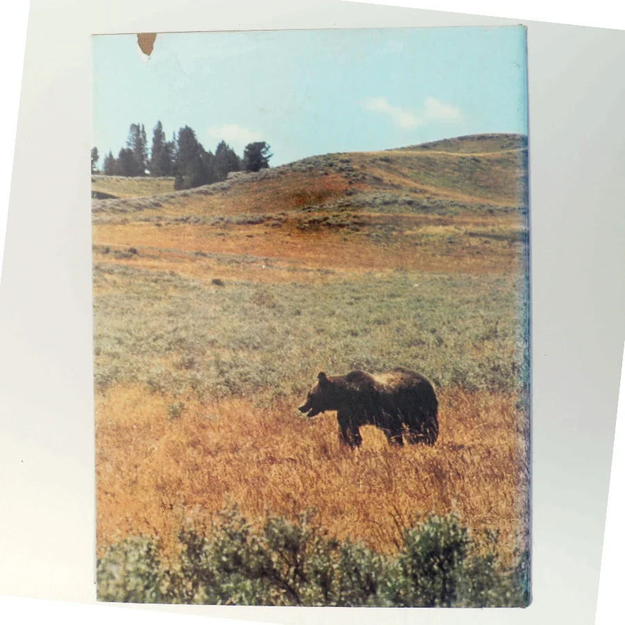 Bog om Nordamerikas natur og dyreliv fra Life