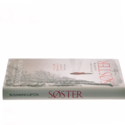 Søster af Rosamund Lupton (Bog)
