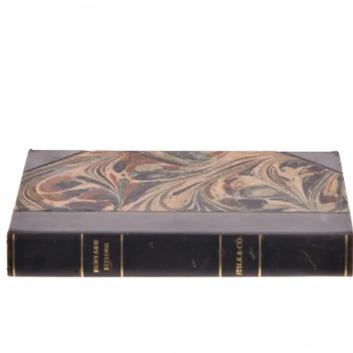 Stilk & Co. af Rudyard Kipling (Bog)