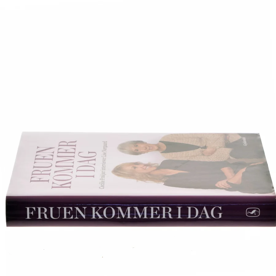 Fruen kommer i dag : Cecilie Frøkjær interviewer Lise Nørgaard (Bog)