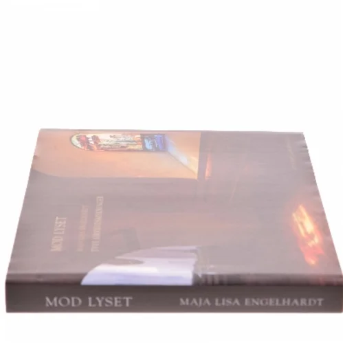 Mod lyset : Maja Lisa Engelhardt : tyve kirkeudsmykninger af Maja Lisa Engelhardt (Bog)