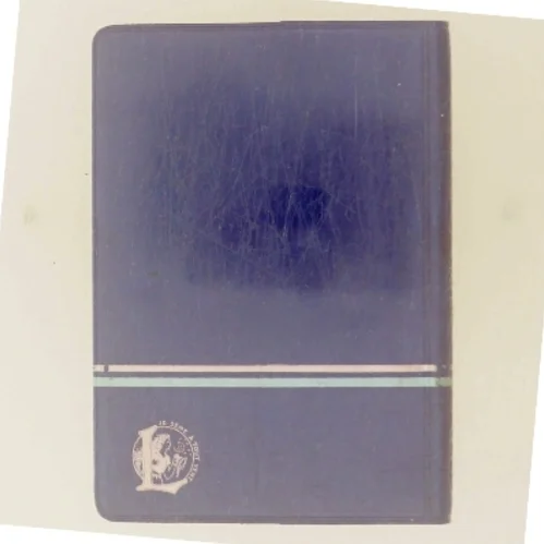français anglais english french dictionnaire europa Larousse af Larousse (Bog)