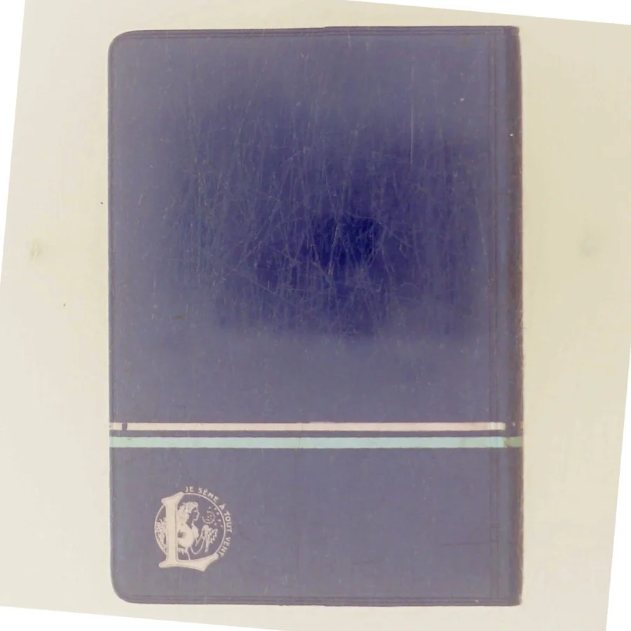 français anglais english french dictionnaire europa Larousse af Larousse (Bog)