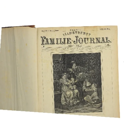 Illustreret Familie-Journal 1881 indbundet årgangsbind af <Ukendt> (Bog)