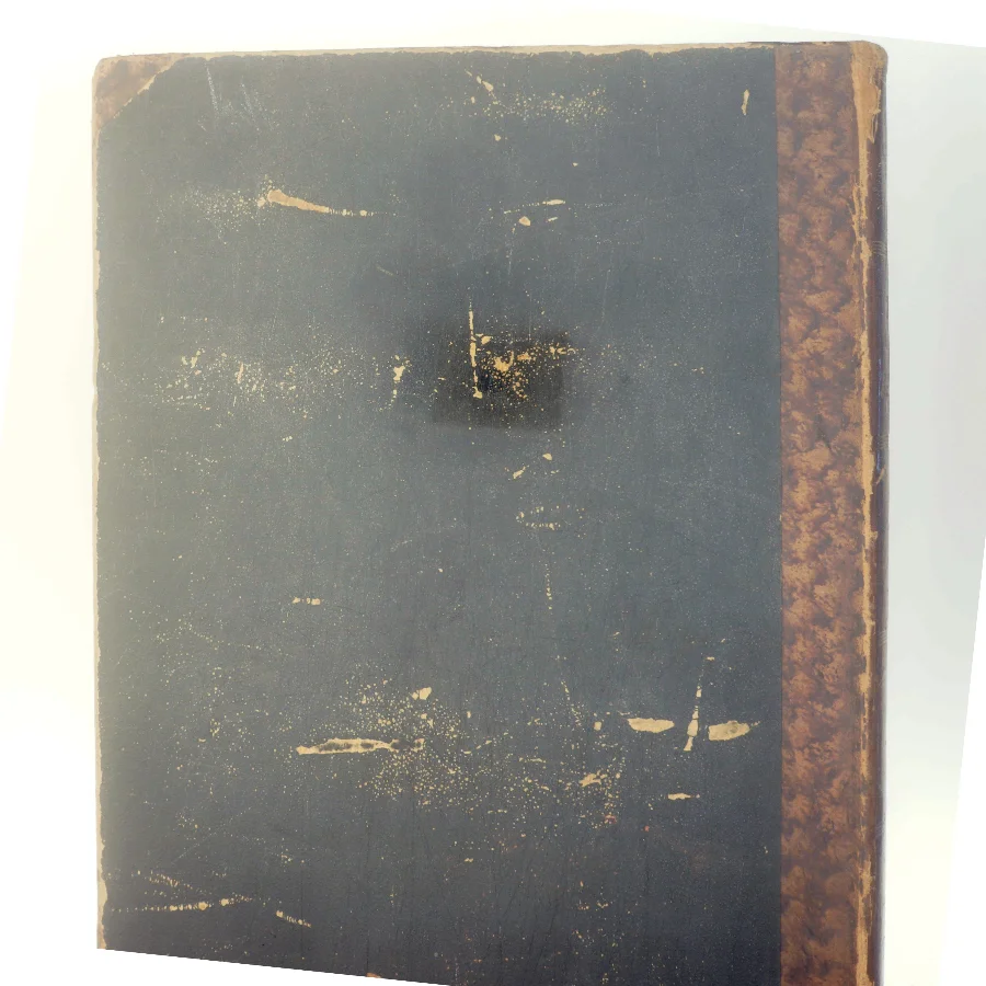 Illustreret Familie-Journal 1881 indbundet årgangsbind af <Ukendt> (Bog)