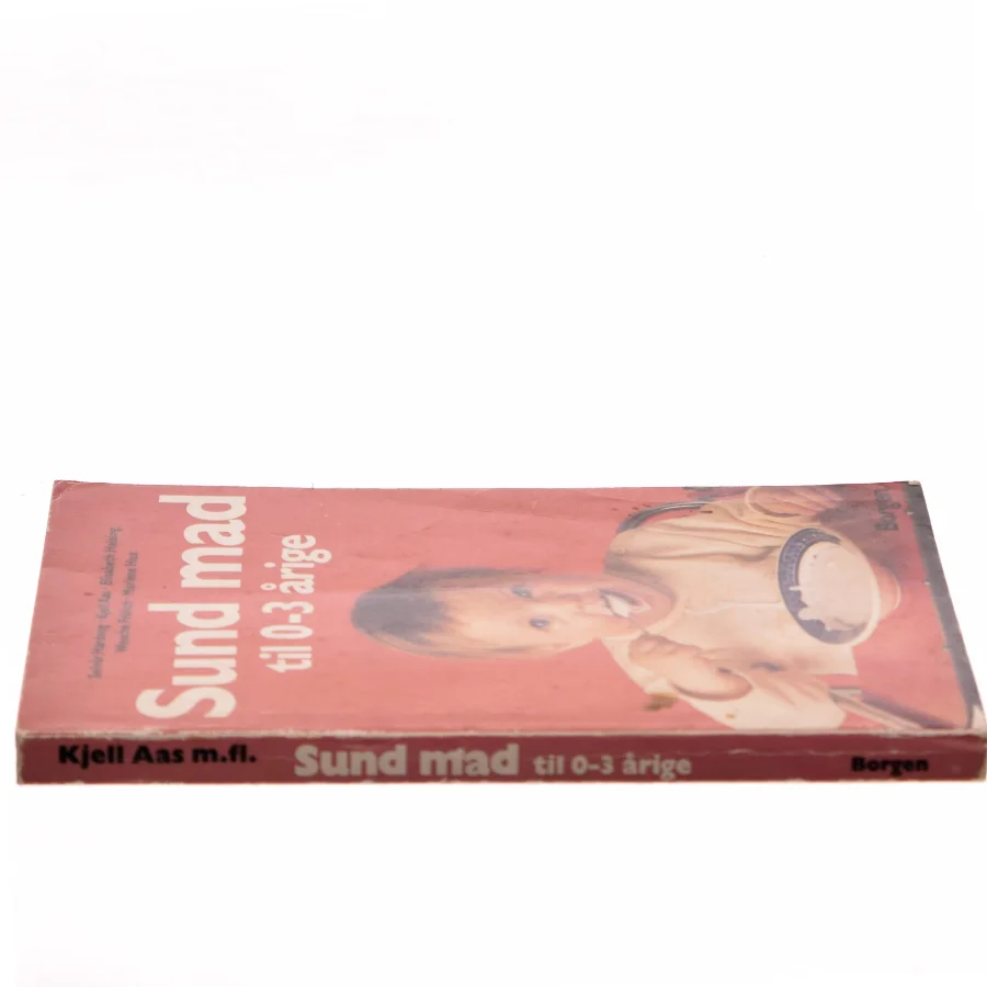 Sund mad til 0-3 årige (Bog)