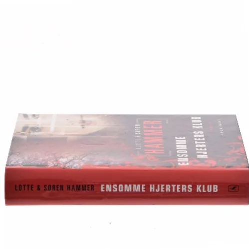 Ensomme hjerters klub (Bog)