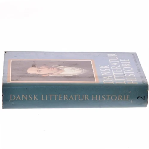 Dansk litteratur historie (Bog)
