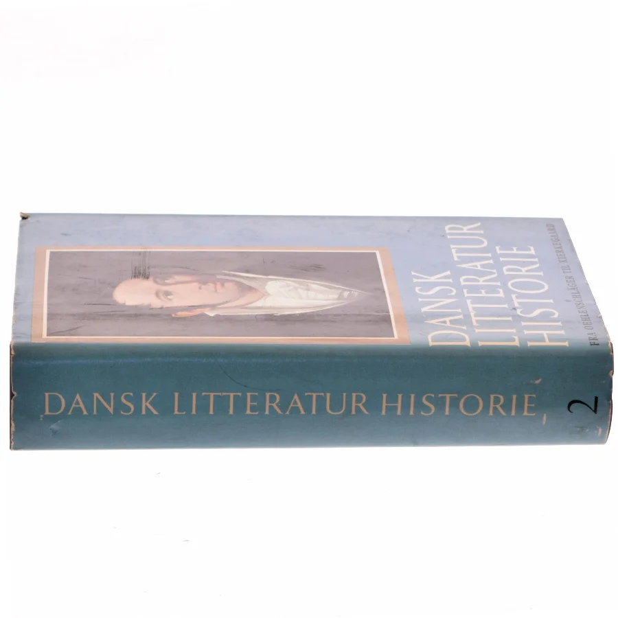 Dansk litteratur historie (Bog)