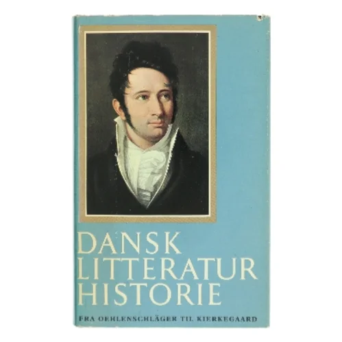 Dansk litteratur historie (Bog)