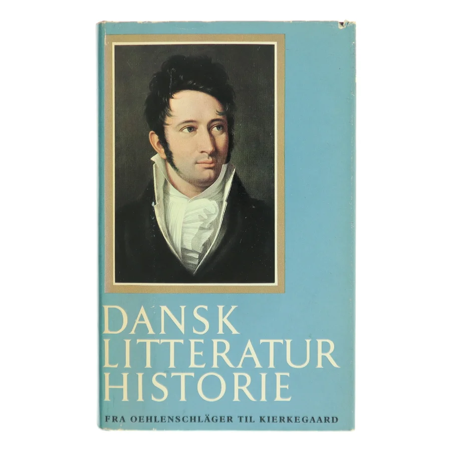 Dansk litteratur historie (Bog)
