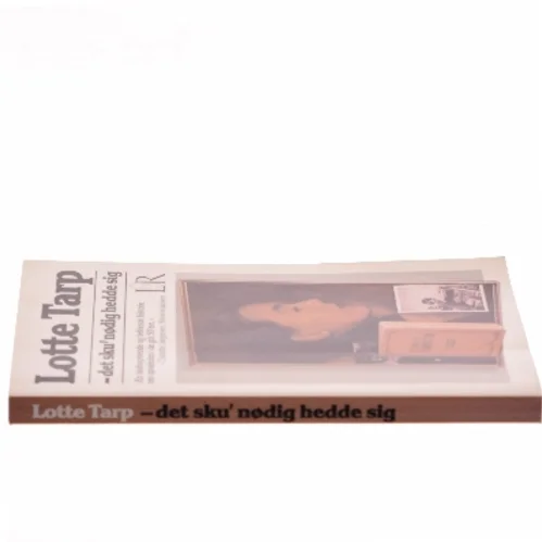 Det sku' nødig hedde sig af Lotte Tarp (Bog)