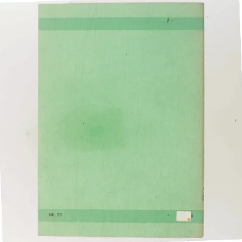 Regler for beregning af bygningers varmetab af DIF (Bog)