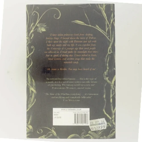 The name of the wind af Patrick Rothfuss (Bog)