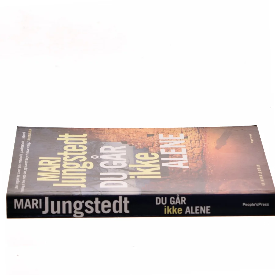 Du går ikke alene : kriminalroman af Mari Jungstedt (Bog)