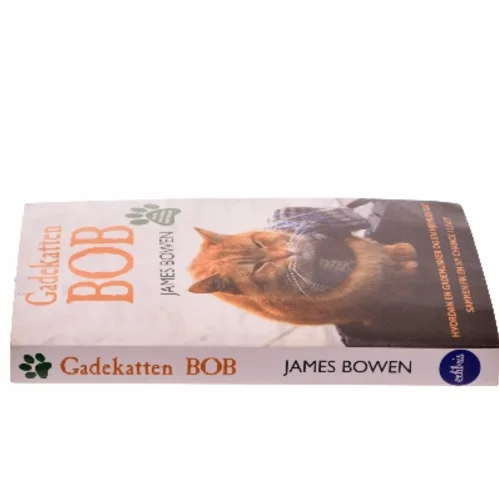 Gadekatten Bob : hvordan en gademusiker og en hjemløs kat sammen fik en ny chance i livet af James Bowen (f. 1979) (Bog)