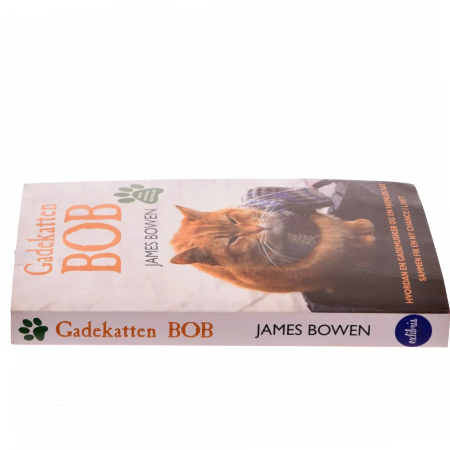 Gadekatten Bob : hvordan en gademusiker og en hjemløs kat sammen fik en ny chance i livet af James Bowen (f. 1979) (Bog)
