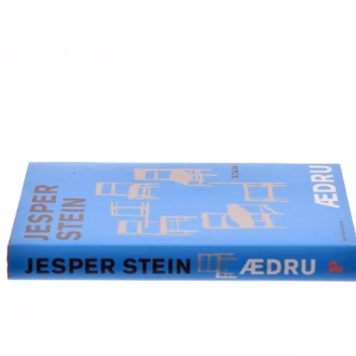 Ædru : roman af Jesper Stein (Bog)