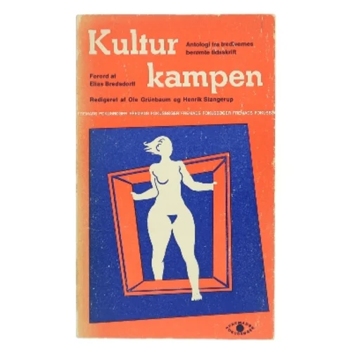 Kulturkampen (Bog)
