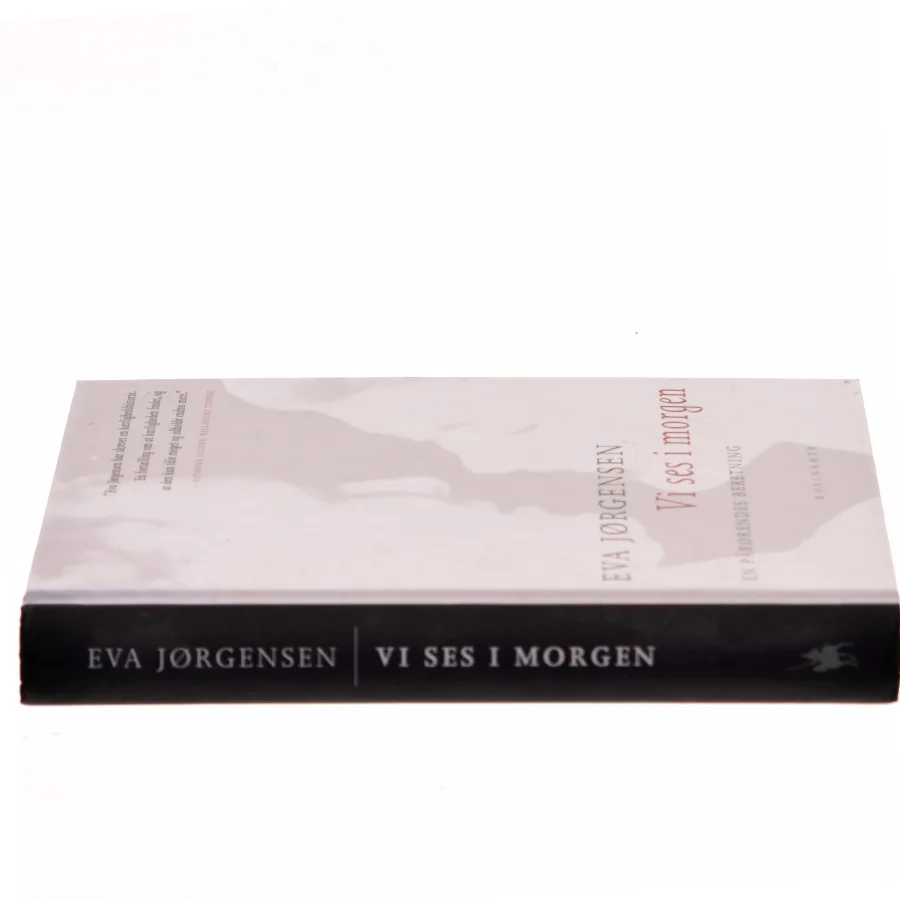 Vi ses i morgen : en pårørendes beretning af Eva Jørgensen (f. 1963) (Bog)